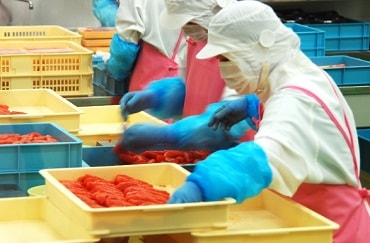食品工場で働く女性
